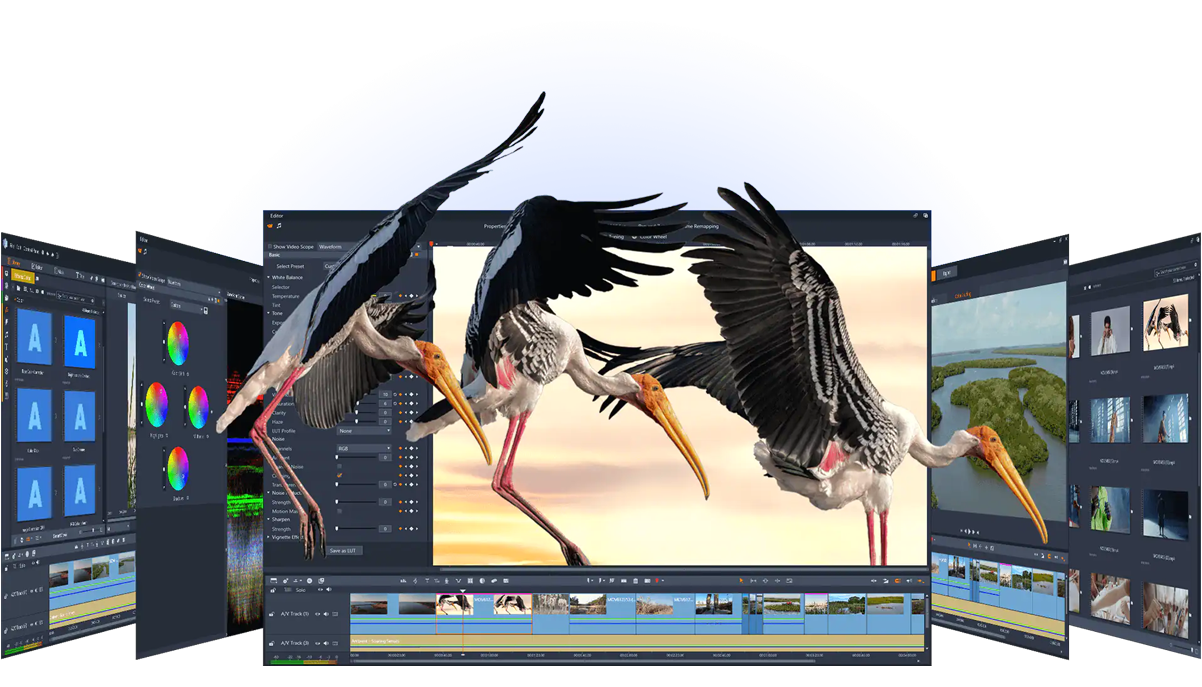 motion graphics video in USA